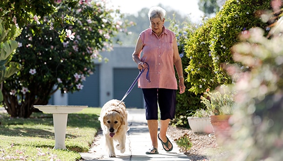 Elderly woman walking her dog for her workout routine