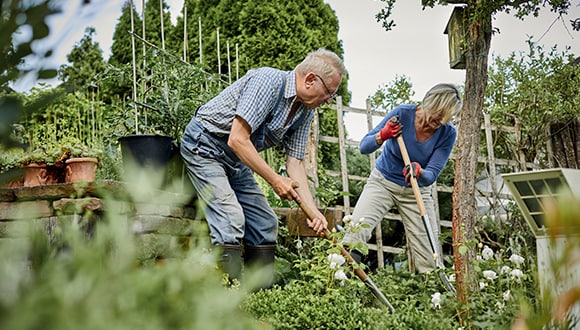 Couple working in the garden